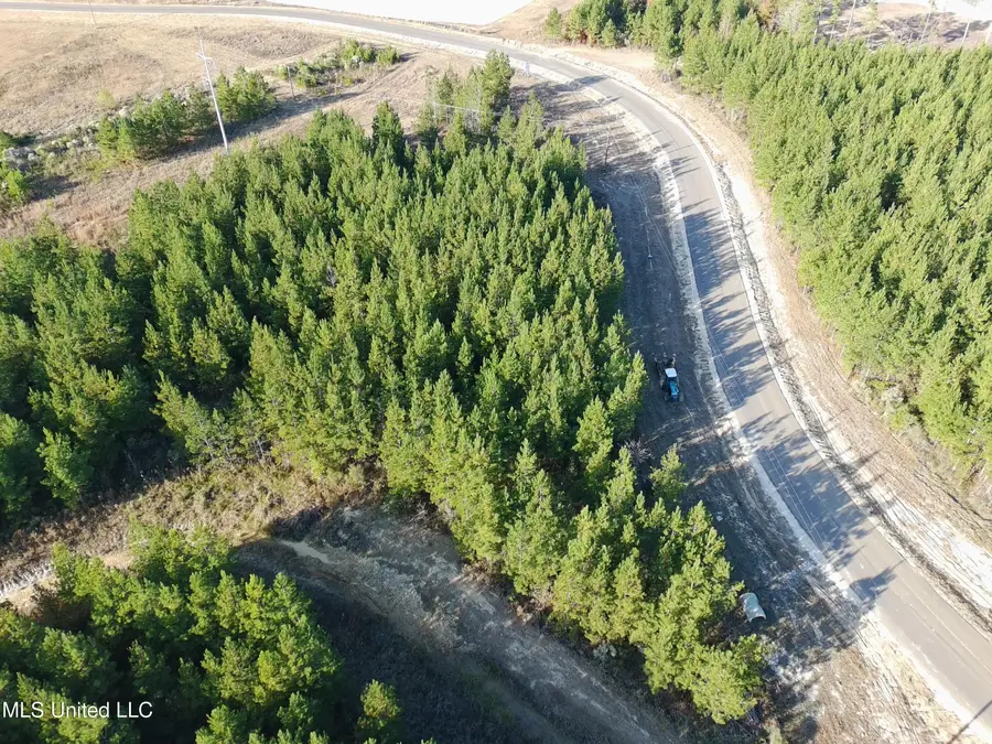 728 Freedom Ridge Lane, Brandon, MS 39047 - Image #2