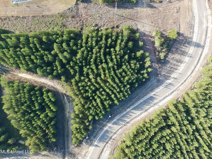 728 Freedom Ridge Lane, Brandon, MS 39047 - Image #3