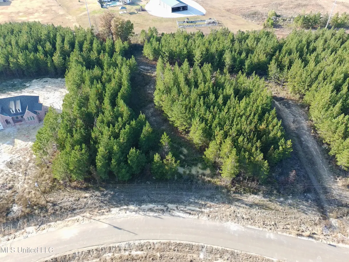 902 Old Glory Lane, Brandon, MS 39047 - Image #1