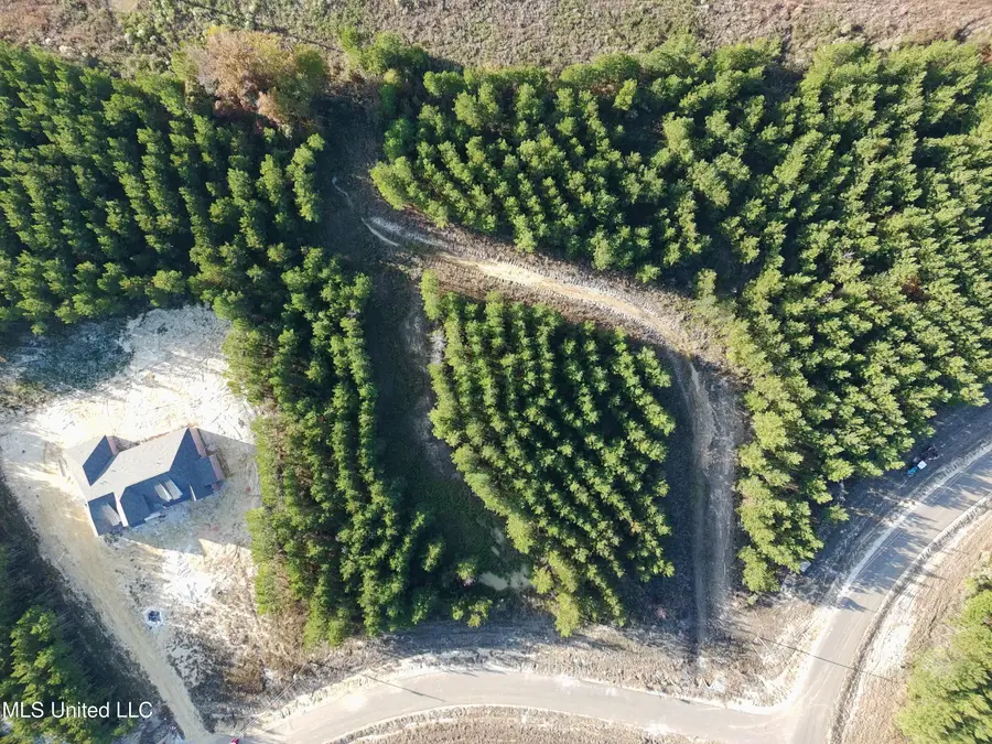 902 Old Glory Lane, Brandon, MS 39047 - Image #2