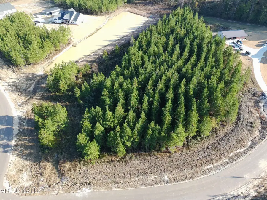 903 Old Glory Lane, Brandon, MS 39047 - Image #3