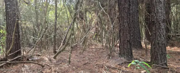 275 Pushapatapa Road, Tylertown, MS 39667