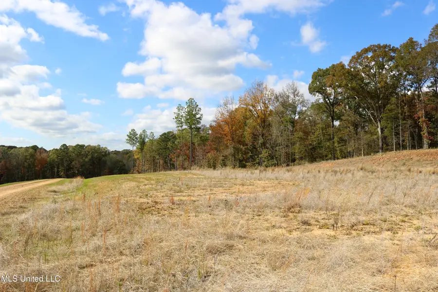 Tract 3 Hugh White State Park Road, Grenada, MS 38901 - Image #2