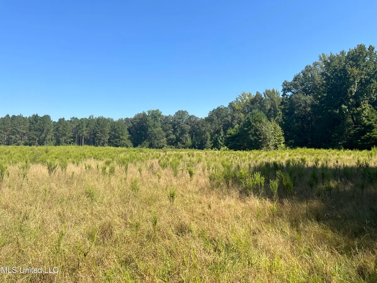 Co Road 24, Heidelberg, MS 39439 - Image #1