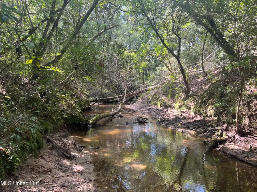 Little Creek Road, Beaumont, MS 39423 - Image #2