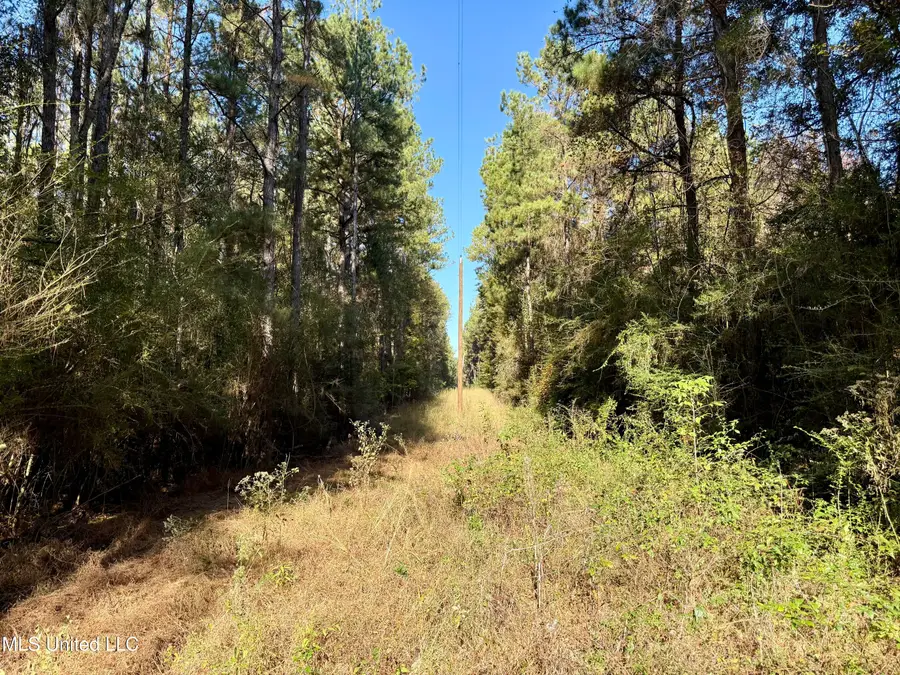 1088 Freeman Rd, Magnolia, MS 39652 - Image #3