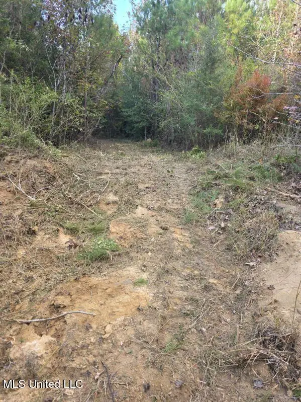 125 Moses Lane, Prentiss, MS 39474 - Image #1