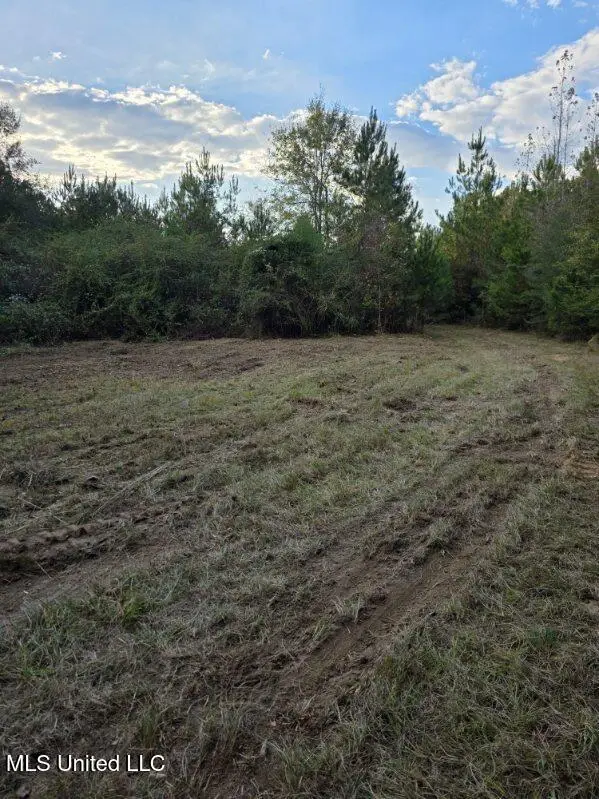 125 Moses Lane, Prentiss, MS 39474 - Image #3