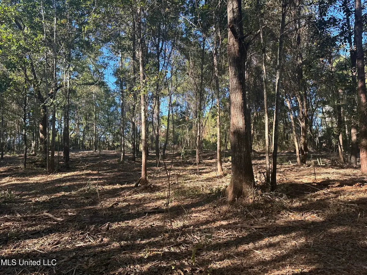 East Street, Waveland, MS 39576 - Image #1