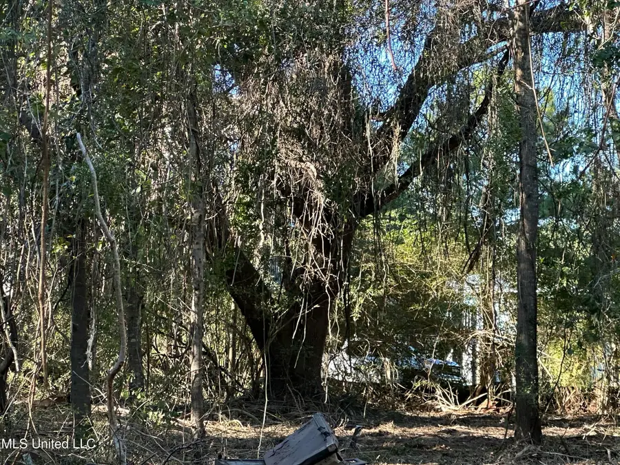 East Street, Waveland, MS 39576 - Image #3