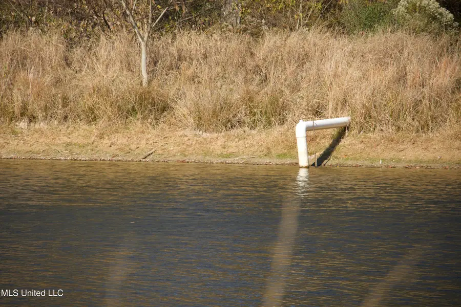 Off Cr 115, Carrollton, MS 38917 - Image #2