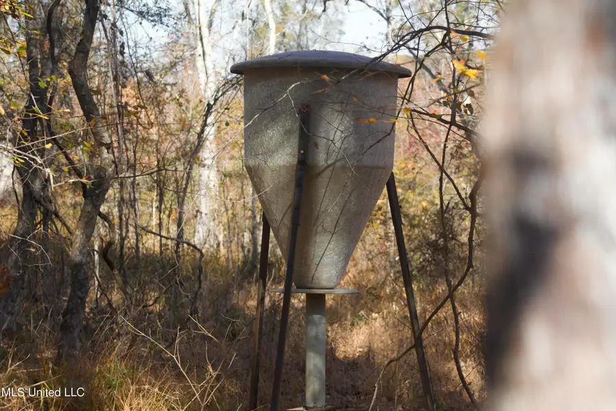 Off Cr 115, Carrollton, MS 38917 - Image #3