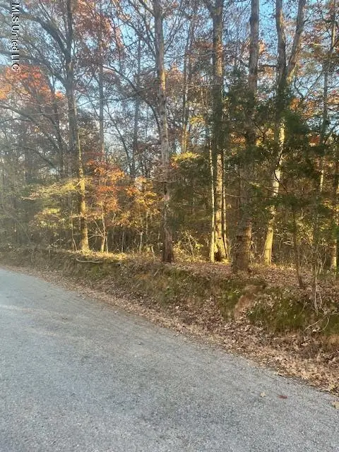 Dogwood Ranch Cir, Byhalia, MS 38611 - Image #1