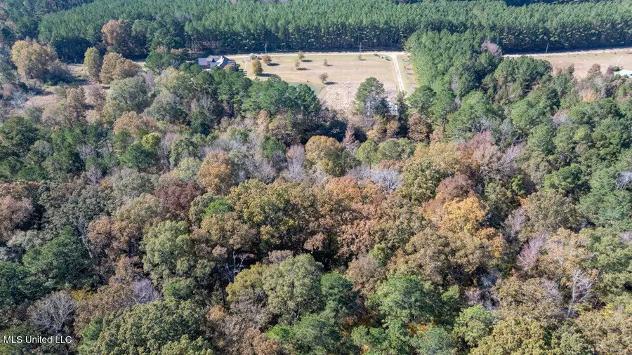 Jc Prestage Rd, Pelahatchie, MS 39145 - Image #2