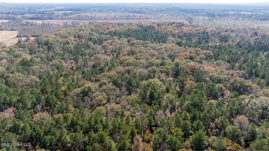 Jc Prestage Rd, Pelahatchie, MS 39145 - Image #3