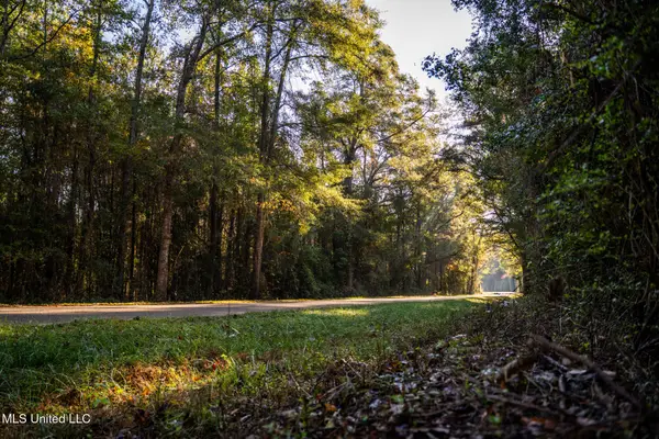 Sand Flat Road, Meridian, MS 39301