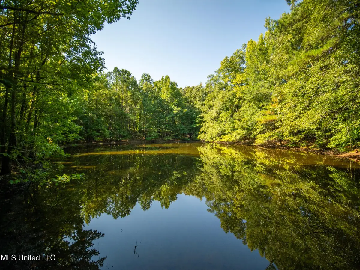 00 Phillips Road, Cruger, MS 38924 - Image #1