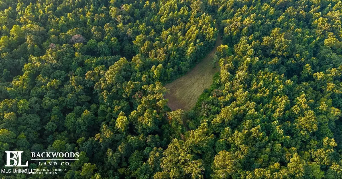 Holly Grove-meeks Road, Cruger, MS 38924 - Image #1