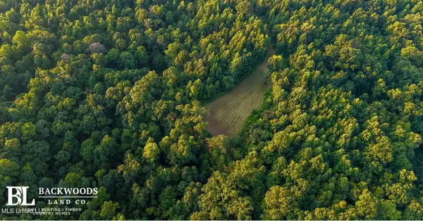 Holly Grove-meeks Road, Cruger, MS 38924