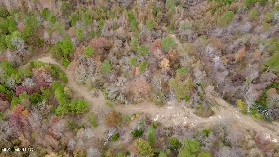 Border Road, Carrollton, MS 38917 - Image #3