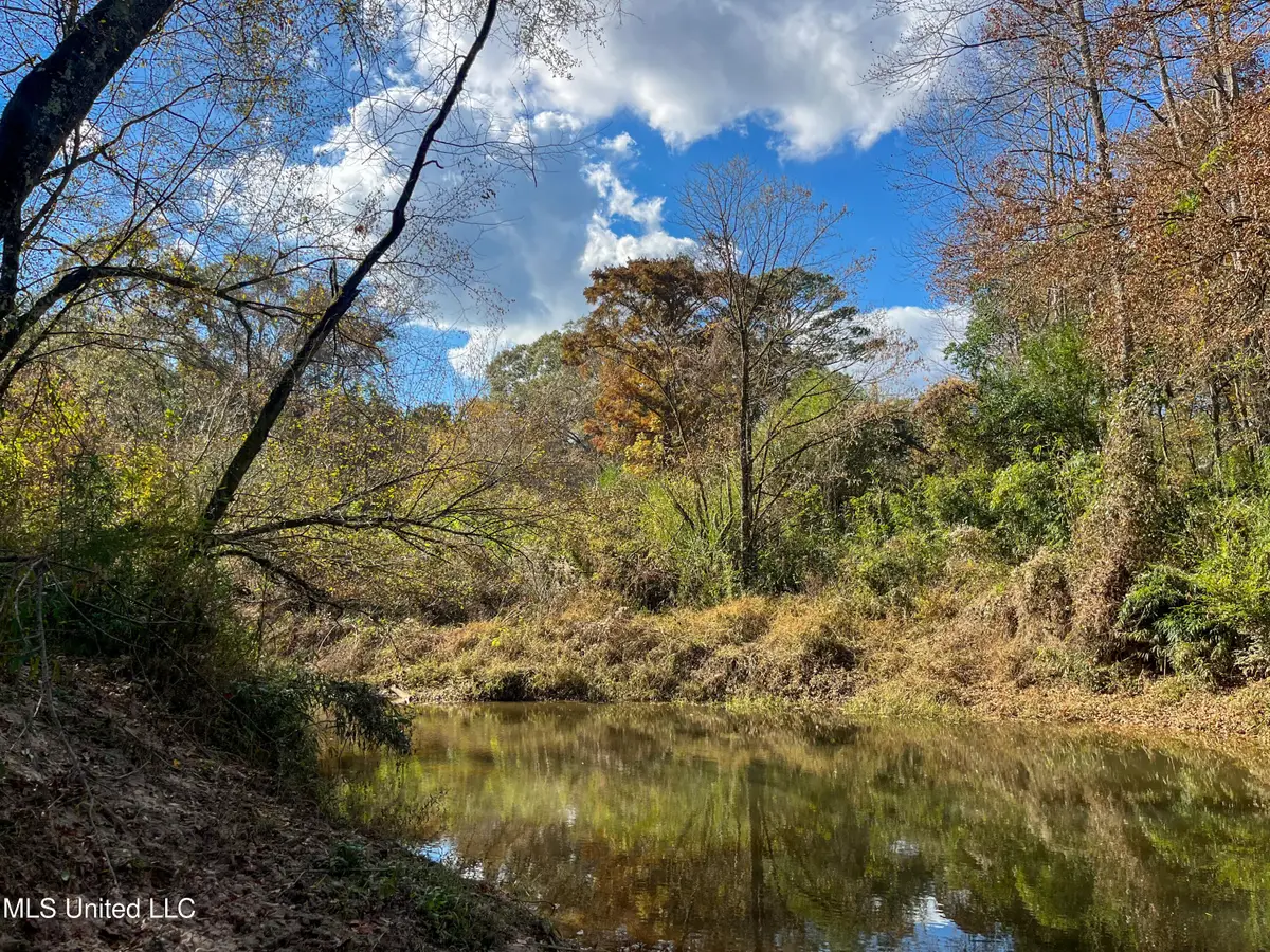 80.8 Acres, Carthage, MS 39051 - Image #1