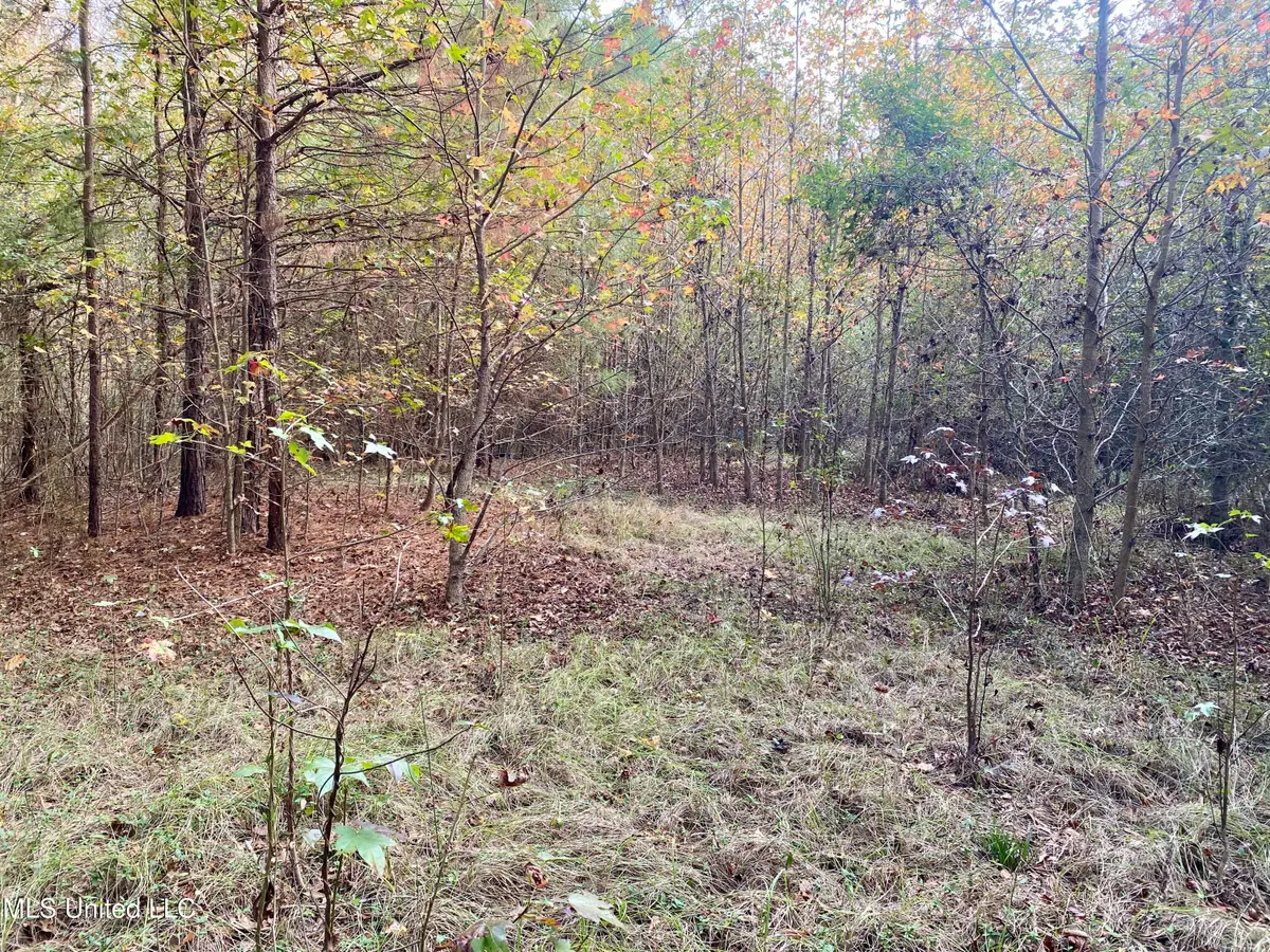 Massey Road, Kosciusko, MS 39090 - Image #1