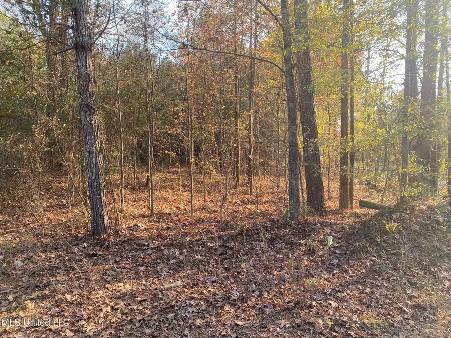 Massey Road, Kosciusko, MS 39090 - Image #2