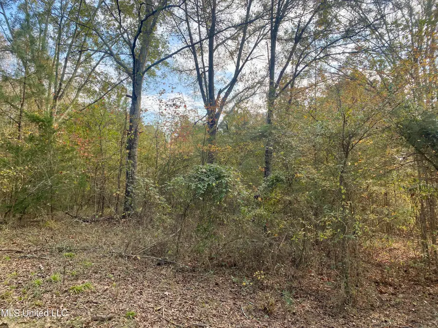 Massey Road, Kosciusko, MS 39090 - Image #3