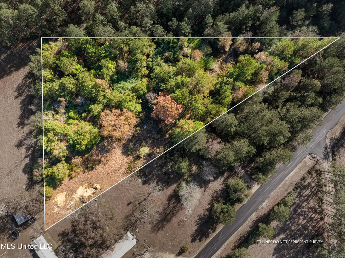 00 Beach Road, Purvis, MS 39475 - Image #1