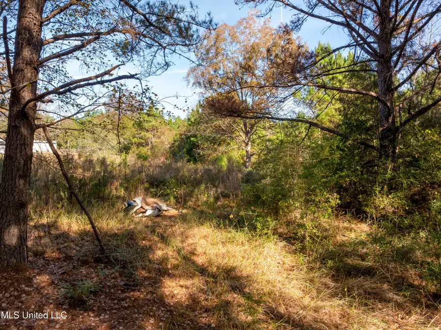00 Beach Road, Purvis, MS 39475 - Image #3
