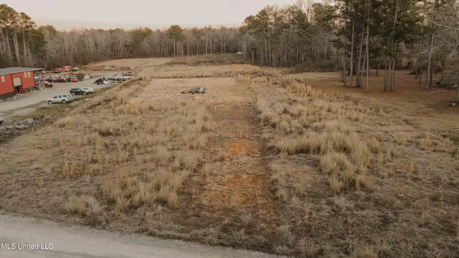 230 Donald Lane, Brandon, MS 39047 - Image #3