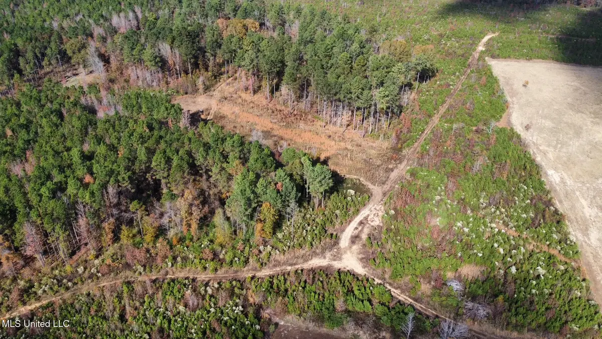 1 Truitt Rd, Pickens, MS 39146 - Image #1