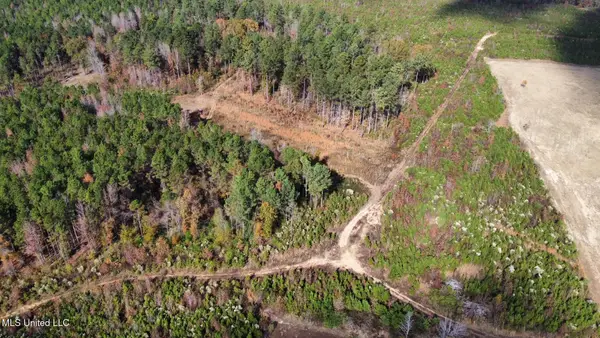 1 Truitt Rd, Pickens, MS 39146