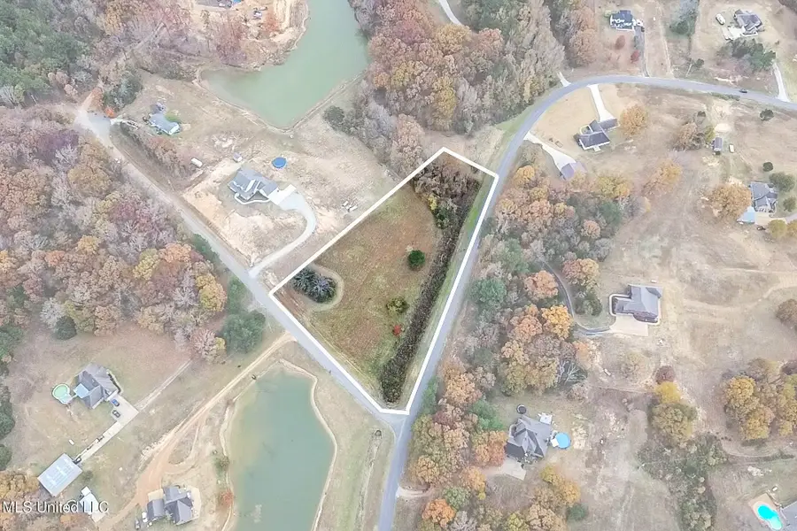 14367 Valley View Cove, Byhalia, MS 38611 - Image #3