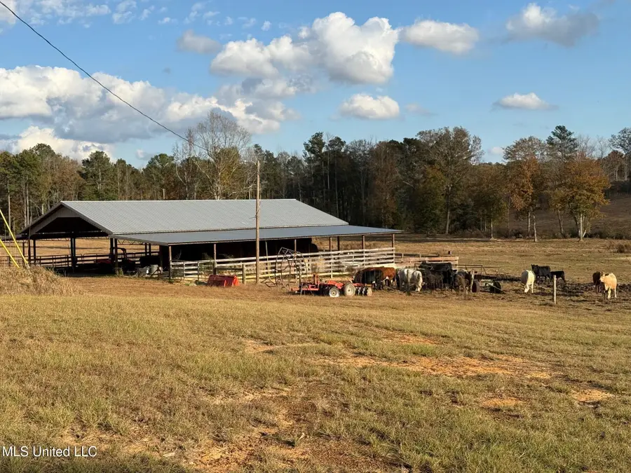 Zion Road, Walnut Grove, MS 39189 - Image #2