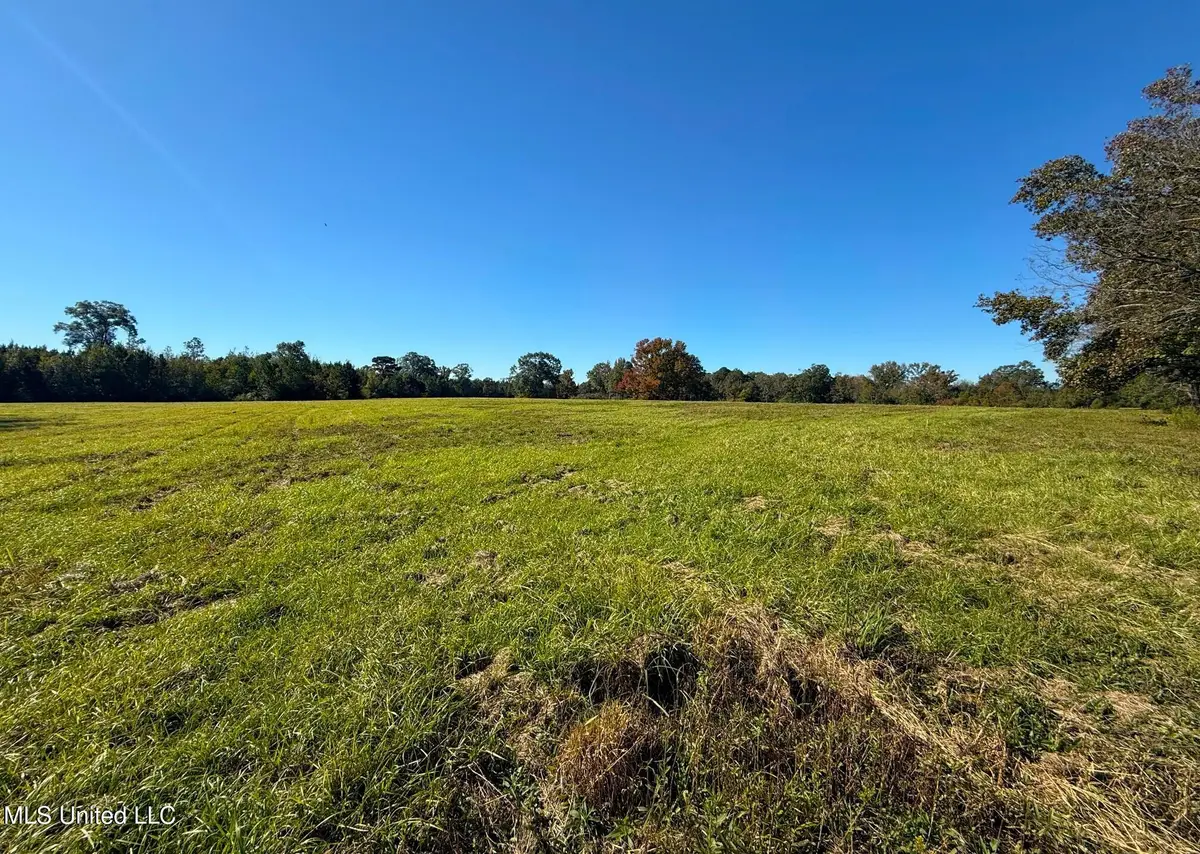 Emma Kelly Road, Magnolia, MS 39652 - Image #1