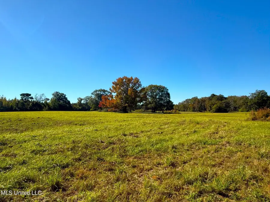 Emma Kelly Road, Magnolia, MS 39652 - Image #2