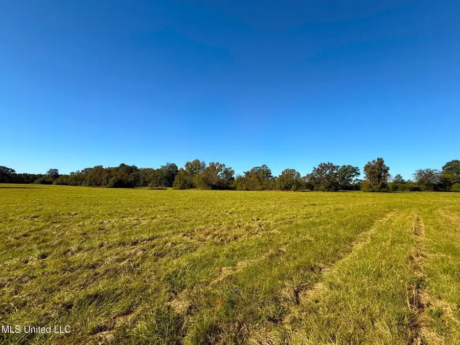 Emma Kelly Road, Magnolia, MS 39652 - Image #3