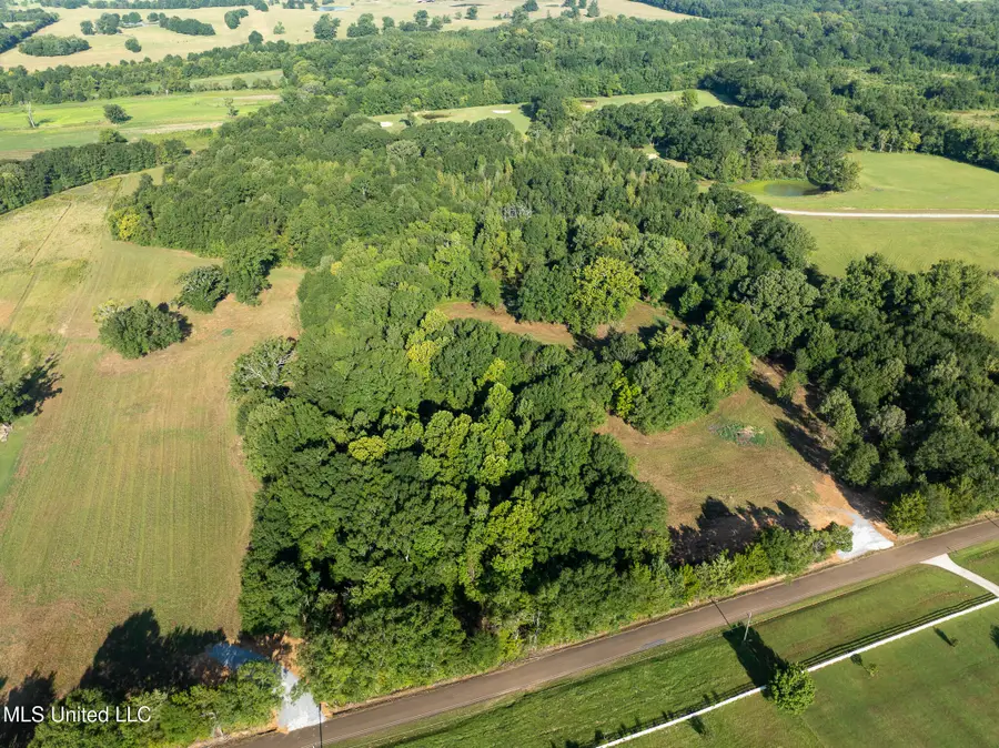 Cane Creek Road, Flora, MS 39071 - Image #3