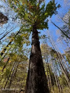 Perry Chapel Road, Ashland, MS 38603