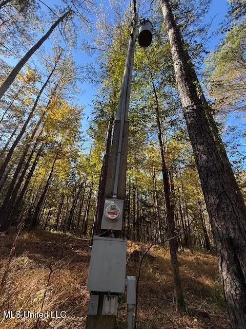 Perry Chapel Road, Ashland, MS 38603 - Image #3