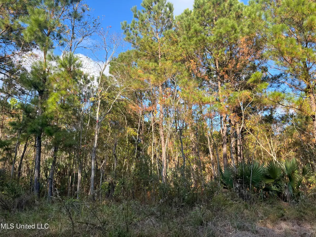 Marigold St. Street, Bay Saint Louis, MS 39520 - Image #1