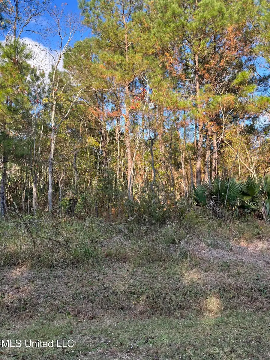 Marigold St. Street, Bay Saint Louis, MS 39520 - Image #2