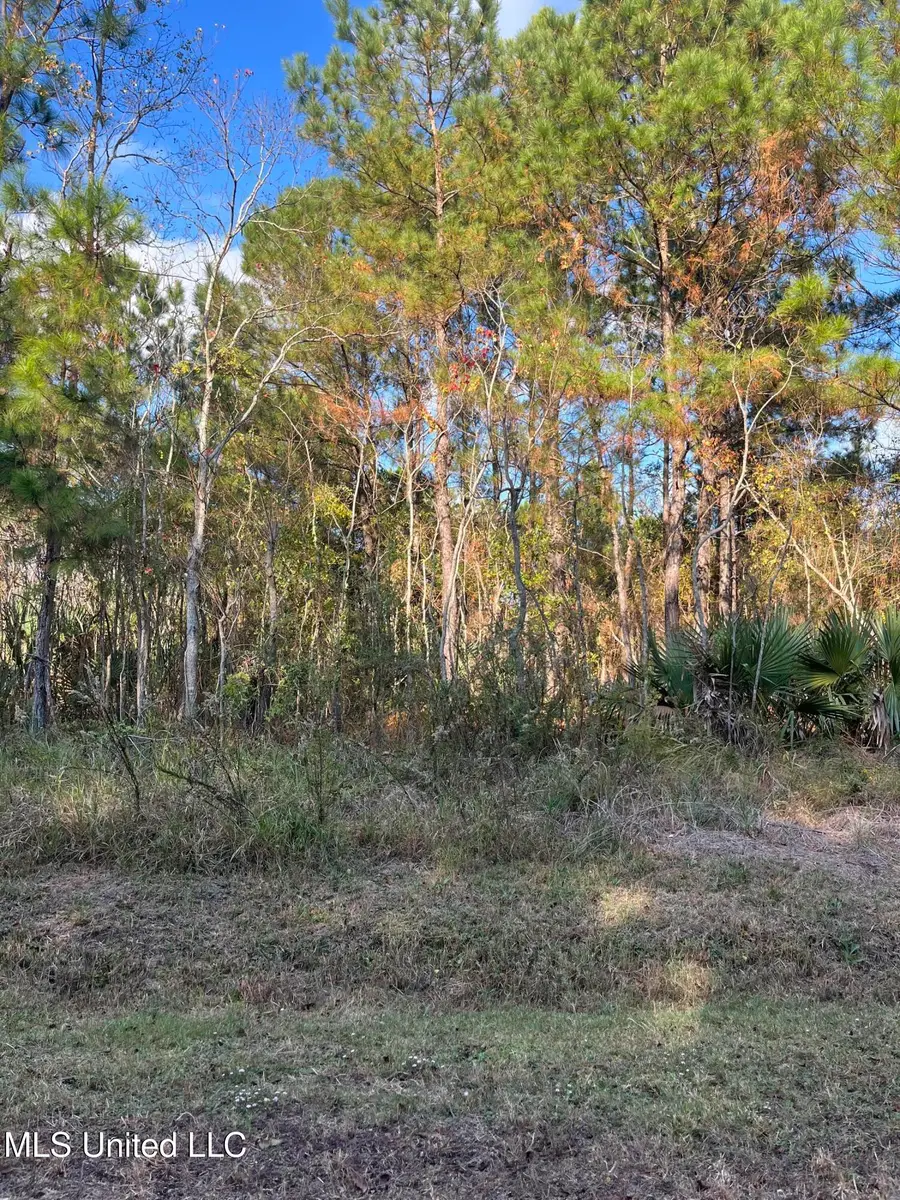 Marigold St. Street, Bay Saint Louis, MS 39520 - Image #3