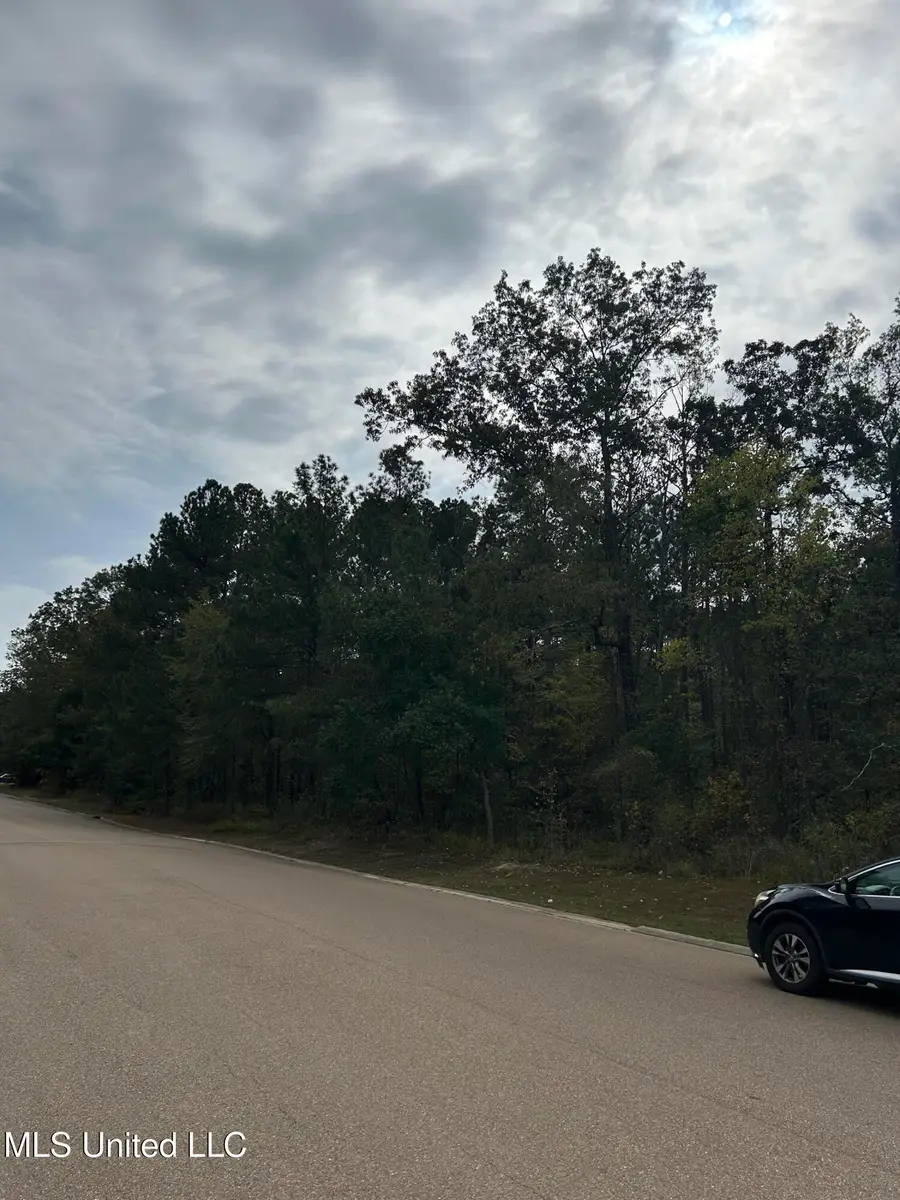 Tbd Old Fannin Road, Brandon, MS 39047 - Image #3