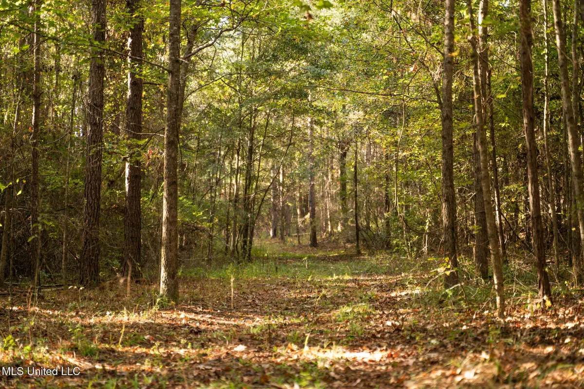 Lake View Golf Course Road, Meridian, MS 39301 - Image #1