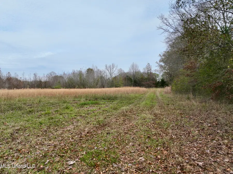 0000 Brown Road, Canton, MS 39046 - Image #3