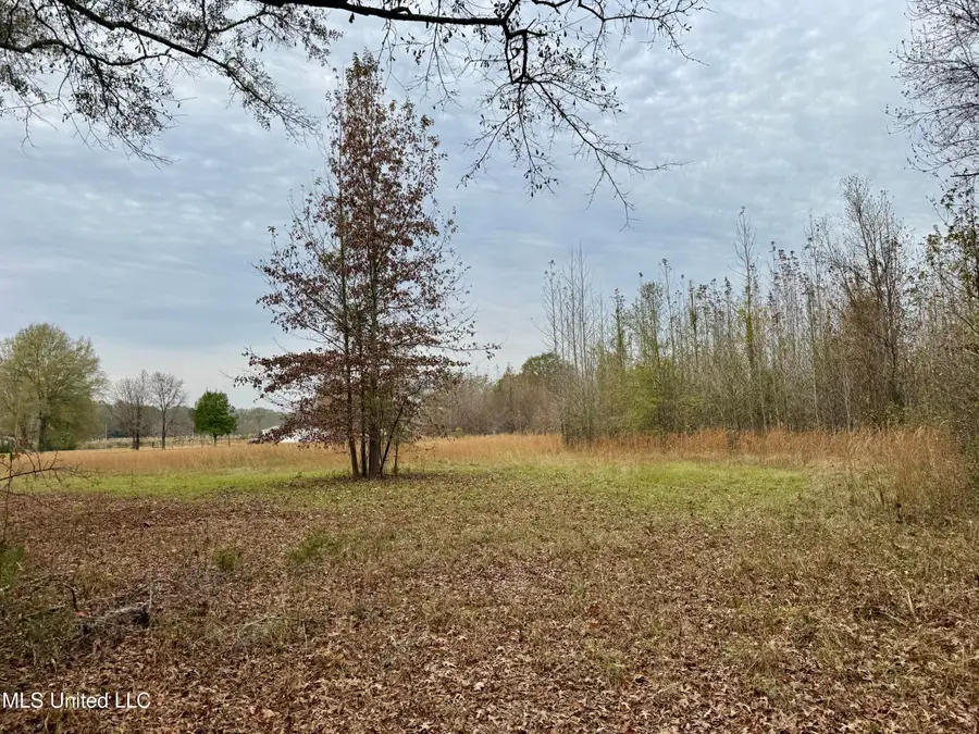 0001 Brown Road, Canton, MS 39046 - Image #3