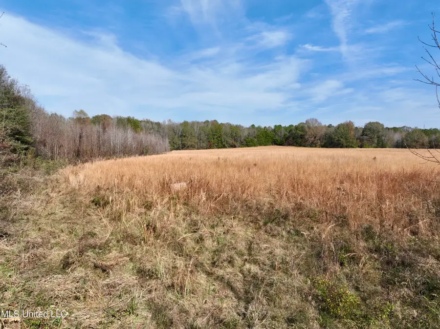 0001 Pisgah Bottom Road, Canton, MS 39046 - Image #3