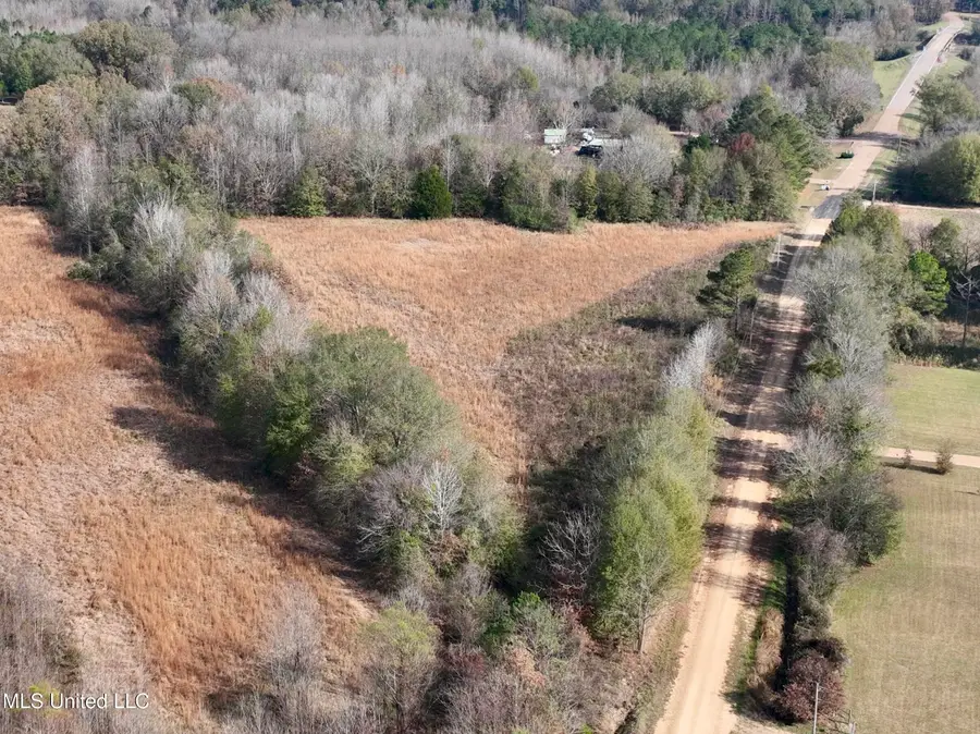 0002 Pisgah Bottom Road, Canton, MS 39046 - Image #2